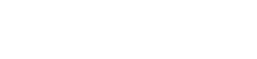 Logo white