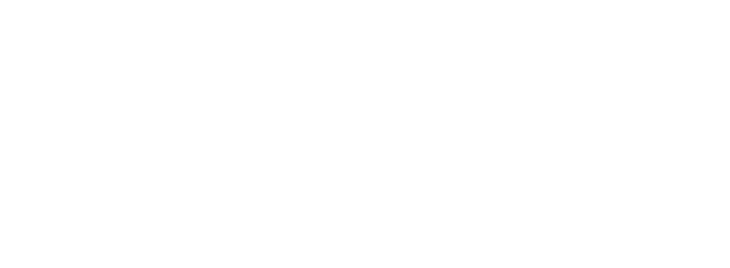 Solnik Construction Group Main Logo